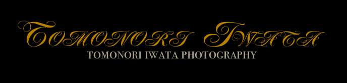Tomonori Iwata Photography